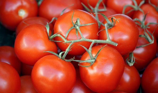 Tomate Industrielle La Production S L Ve Millions De Quintaux En