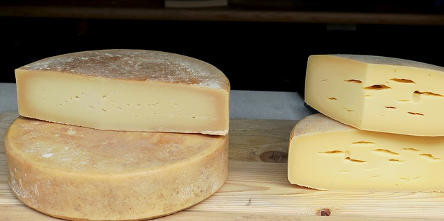 Tizi-Ouzou : Des femmes apprennent à fabriquer le fromage