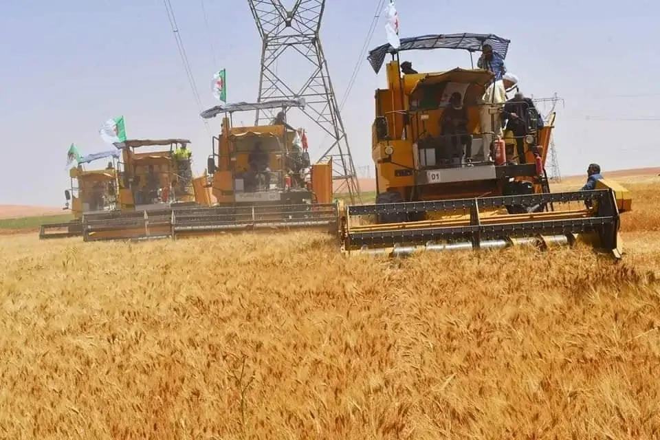 L’agriculture, le maillon fort de l’économie de demain