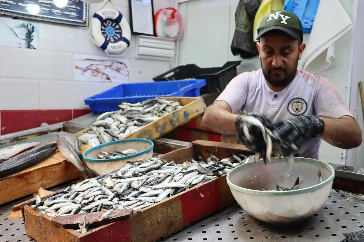 Les prix de la sardine en chute libre