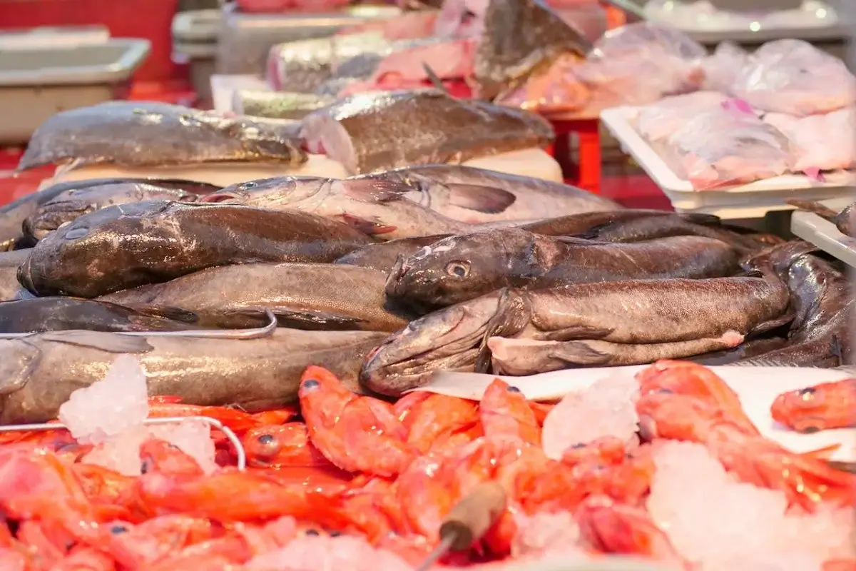 Marché du poisson: Le gouvernement élabore une stratégie à moyen terme